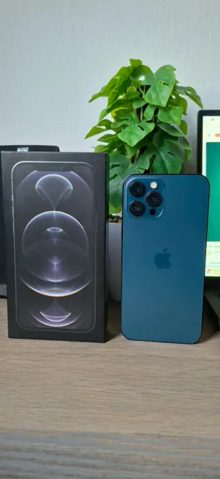 iPhone 12 Pro Max 256GB