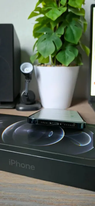 iPhone 12 Pro Max 256GB