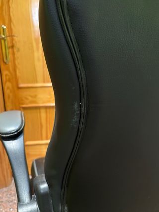 Silla Gaming Bergner Racing Pro