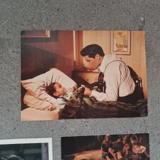 Lote 6 Postales Elvis Presley