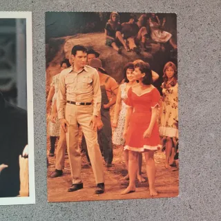 Lote 6 Postales Elvis Presley