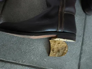 Botas Valverde del Camino Marrones Unisex