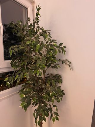 Planta artificial con maceta