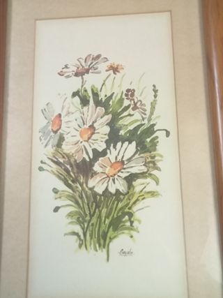 2 Quadri Fiori in Acquerello con Cornice in Legno