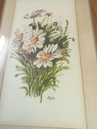 2 Quadri Fiori in Acquerello con Cornice in Legno