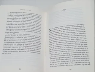 La ciudad del rey leproso