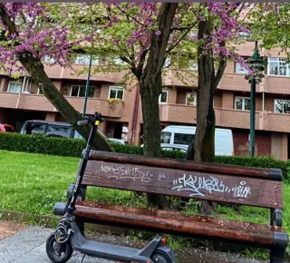 Patinete Eléctrico Xiaomi