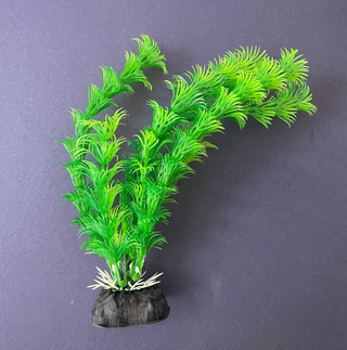 Planta Acuática Plástico Verde