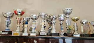 Lote de Trofeos Varios a granel de 3 a 10€