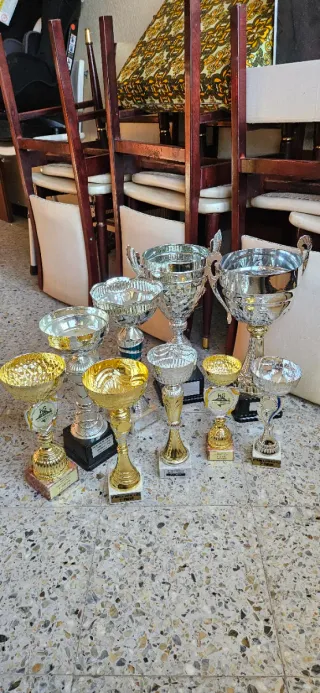 Lote de Trofeos Varios a granel de 3 a 10€