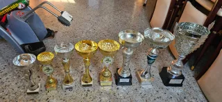 Lote de Trofeos Varios a granel de 3 a 10€
