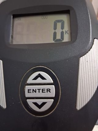 Bicicleta Estática Gris