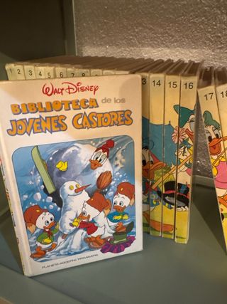 Libros biblioteca los jovenes castores Walt Disney