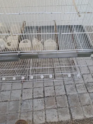 Jaulas para pájaros apilables