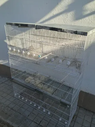Jaulas para pájaros apilables