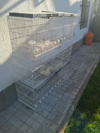Jaulas para pájaros apilables