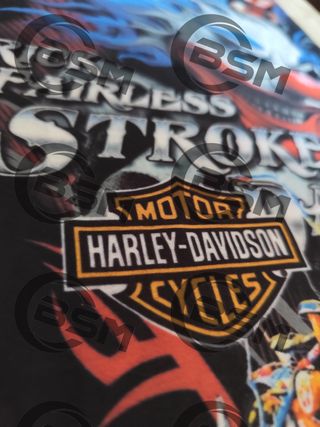 Scaldacollo Harley-Davidson Rick Fairless