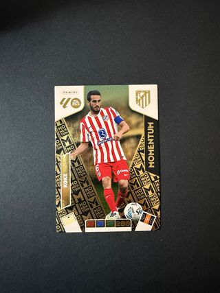 MOMENTUM KOKE ADRENALYN XL 2025 2026