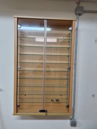 Expositor vitrina coleccionismo