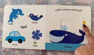 El pequeño libro de los colores