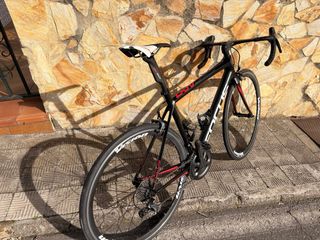 FOCUS Cayo Carbono talla M Bicicleta Carretera