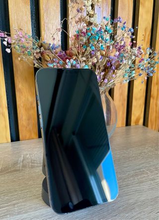 iPhone 13 Pro 128GB Azul cielo