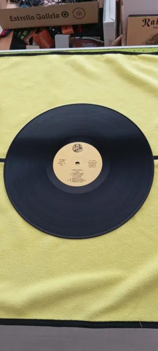 Vinilo LP Skalope - Derrigor Punk Rock