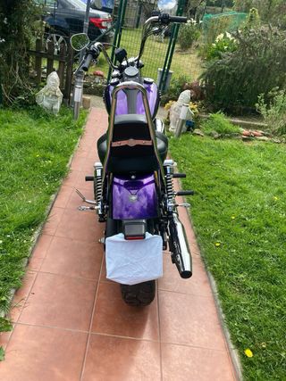 Harley Davidson Street Bob