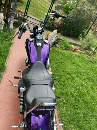 Harley Davidson Street Bob