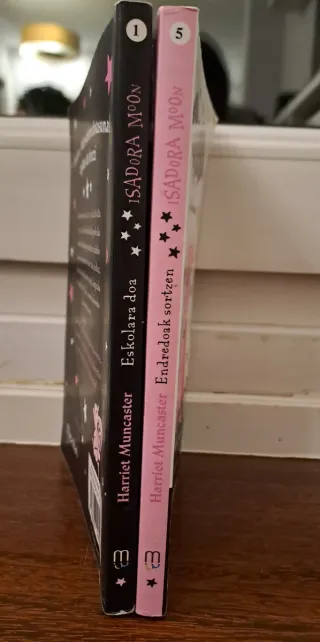 Isadora Moon. Eskolara doa.  Endredoak sortzen