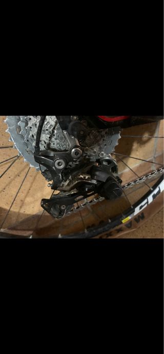 Focus Raven 9.5 de carbono