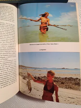 Náufragos supervivencia en una isla desierta