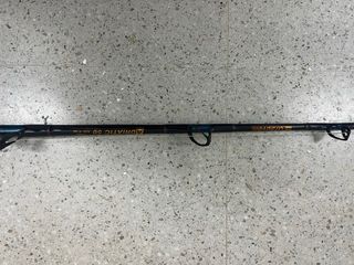 2 Cañas de Pescar Ryobi electricas