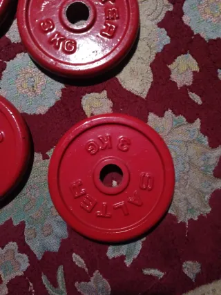 4.Discos de pesa Salter de 3kg