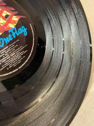 Vinilo de Nuclear “Assault Survive”