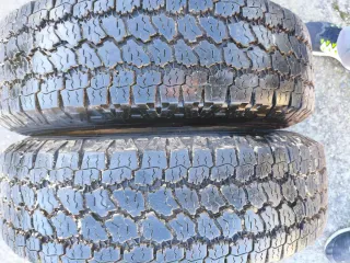 Goodyear Wrangler All-Terrain Neumático 215/80R/15