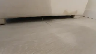 Sofá de tela beige para 3 personas