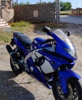 Yamaha Thundercat Azul y Blanca