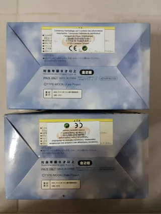 Conjunto di figure Saver & Rin Fate/stay night