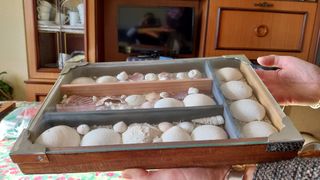 Caja decorativa conchas marinas hecha a mano