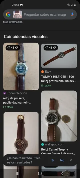 Reloj Festina Correa Marrón y Esfera Negra