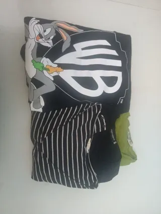 Lote Ropa Mujer: Sudadera WB, body y Camisetas