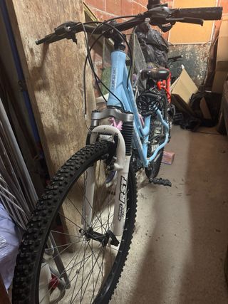 Bicicleta de montaña azul