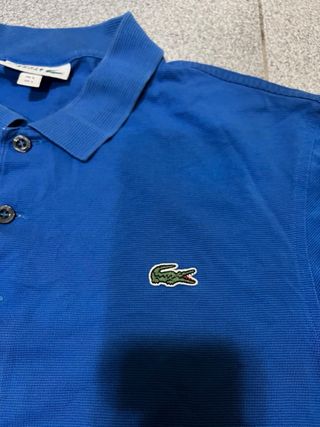 Polo Lacoste Blu L