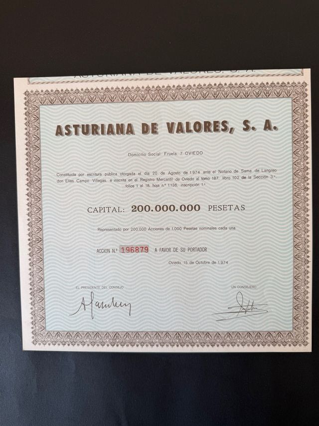 Acción Asturiana de Valores S.A. 196879
