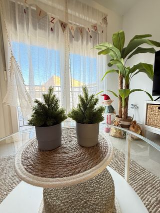 2 Mini alberi di Natale con vasi