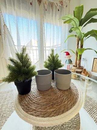2 Mini alberi di Natale con vasi