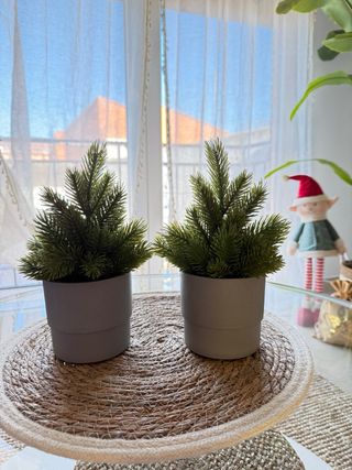 2 Mini alberi di Natale con vasi