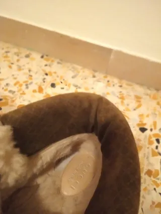 Scarpe uomo Gucci verdi