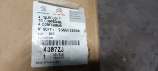 Bomba Dirección Asistida Peugeot 407